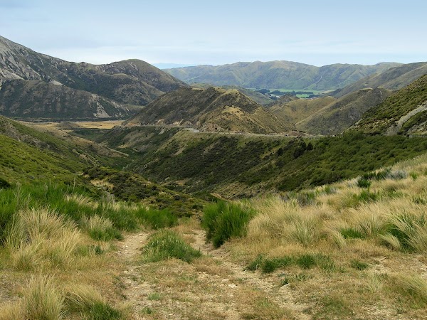 New zealand 45