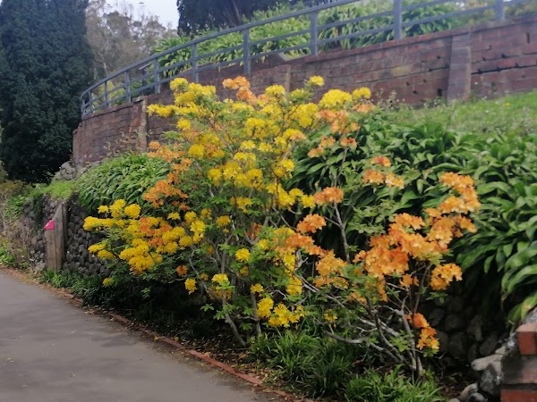 Southern Walkway 4