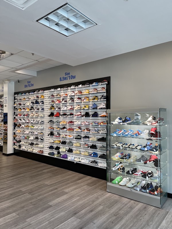 Soleply 5