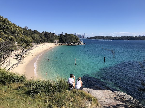 Shark Beach