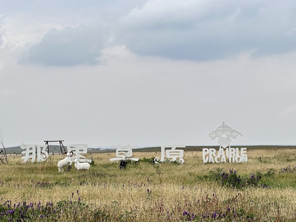 Ordos Grassland