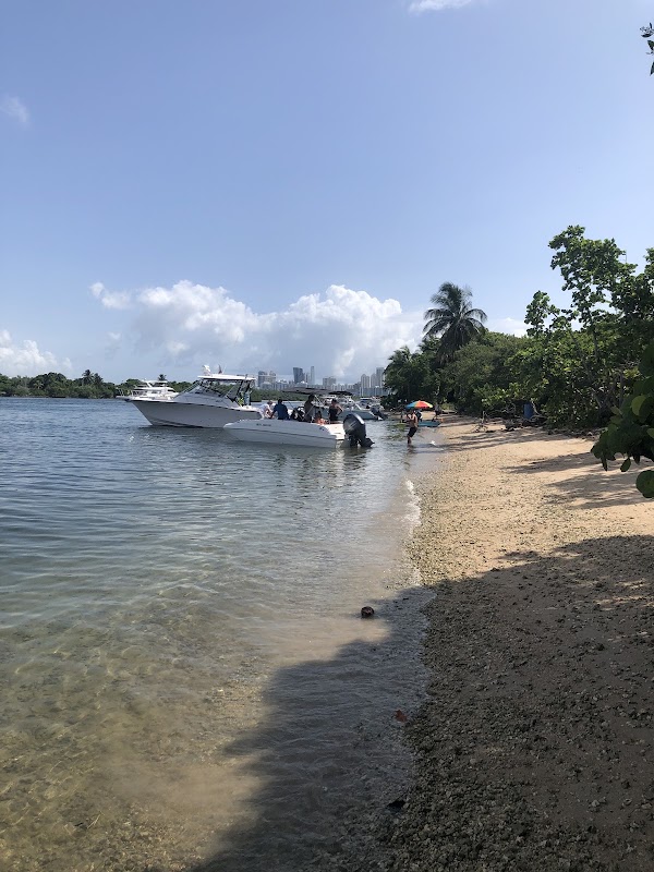 Sandspur Island 1