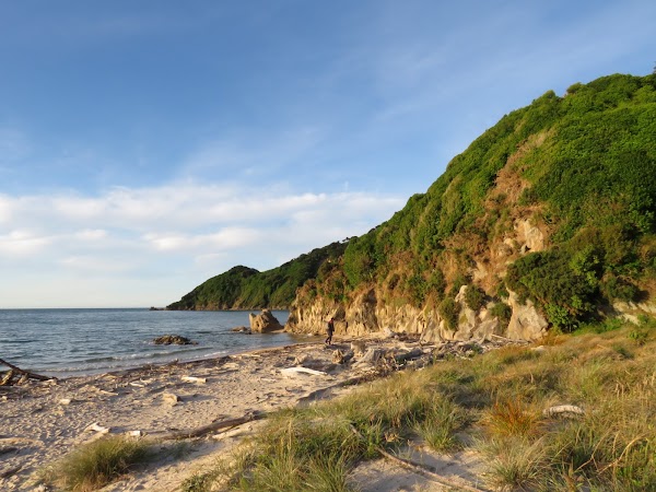 Wainui Bay 3