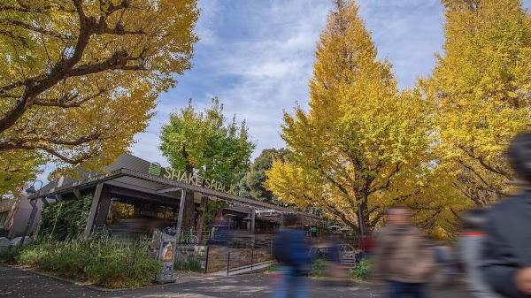 SHAKE SHACK Gaien 3