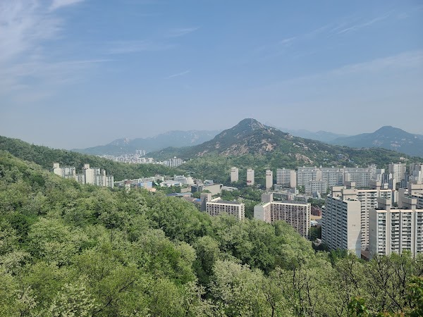 Ansan Metasequoia Forest 2
