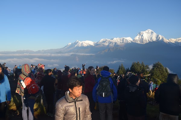 Poon Hill 5
