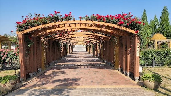 Hanbat Arboretum 4