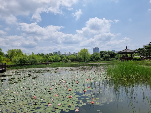 Hanbat Arboretum 2