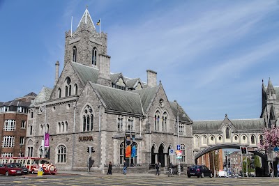 Dublinia