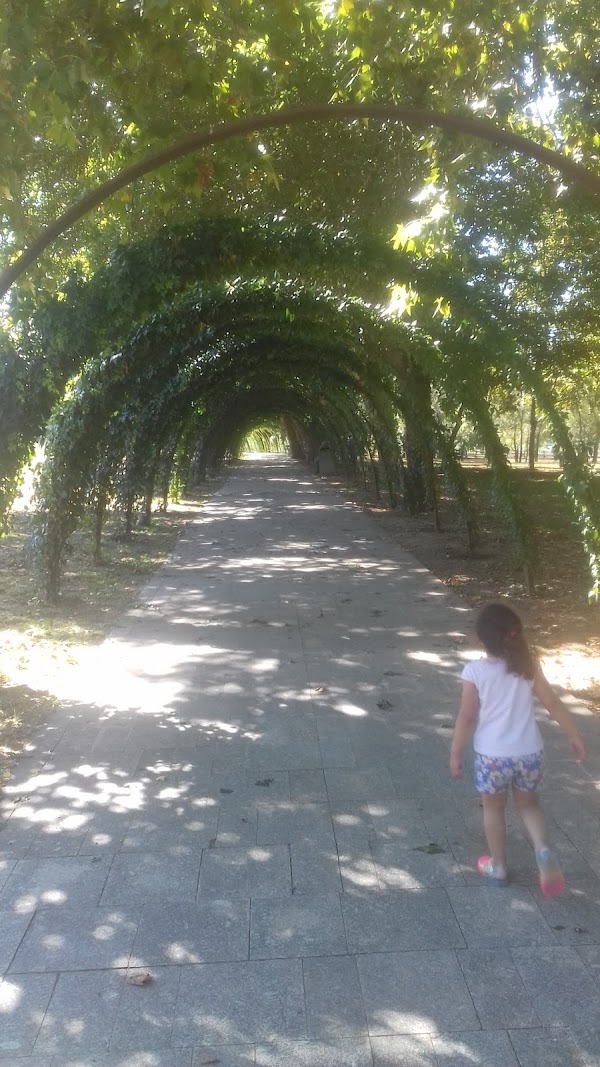 Barcelos 1