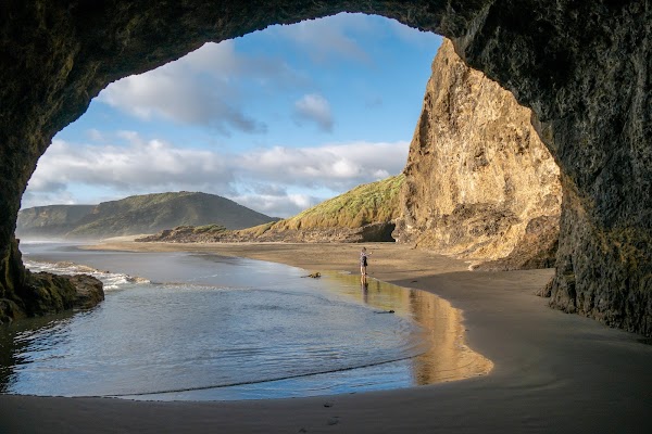 Te Henga (Bethells Beach) 1