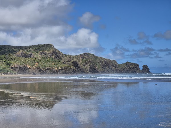 Te Henga (Bethells Beach) 5