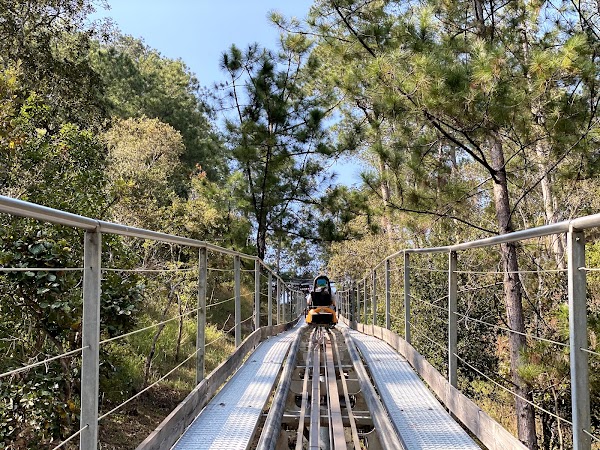 Datanla New Alpine Coaster 4