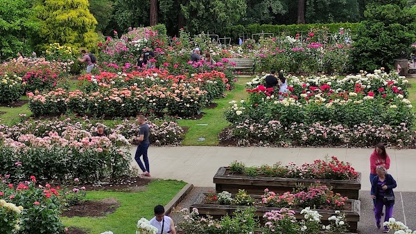 Washington Park 3