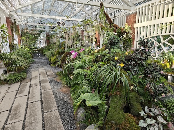 Guangzhou Orchid Garden 2
