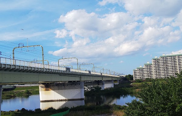Tama River 2