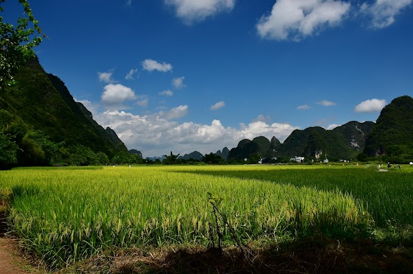 Yulong River 4