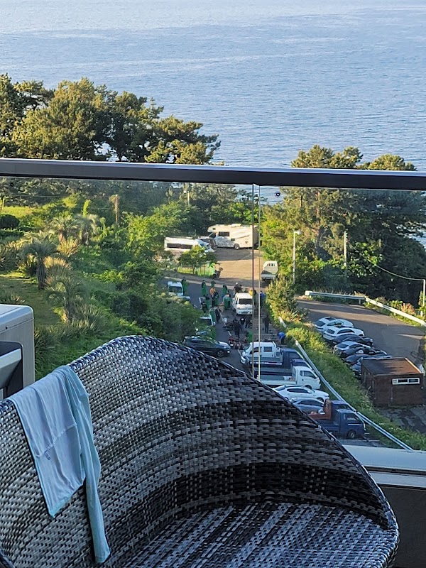 Harakeke Jeju