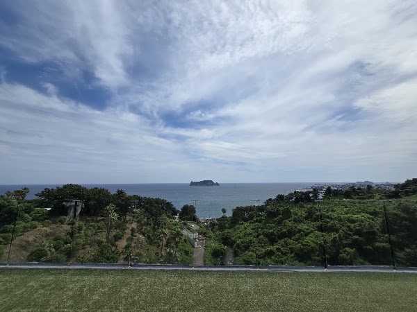 Harakeke Jeju 3