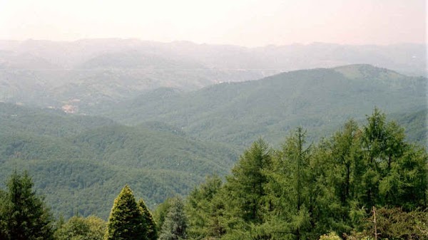Parque Natural Señorío de Bertiz
