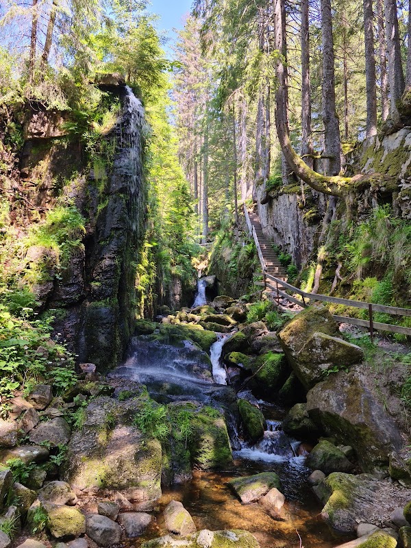 Geißenpfad Menzenschwand