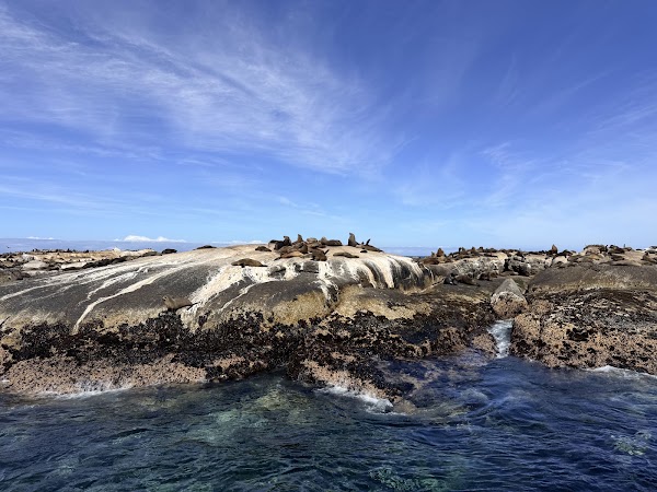 Seal Island