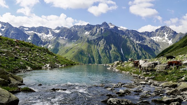 Grisons 5