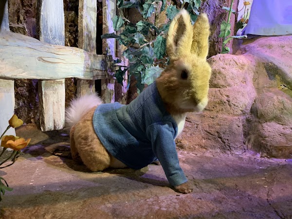 The World of Beatrix Potter Attraction 5