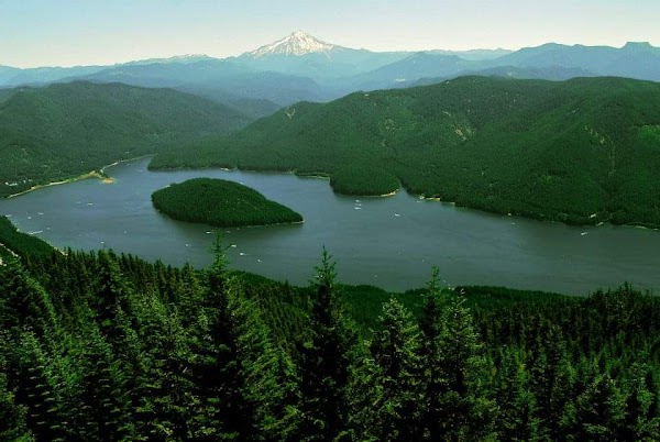 PNW 15