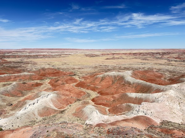 Petrified Forest National Park