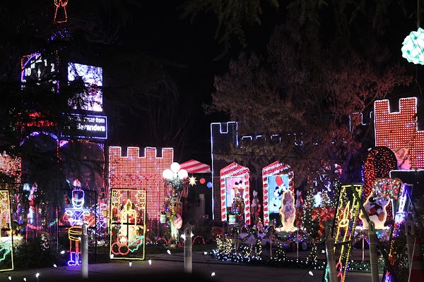Christmas Tree Lane