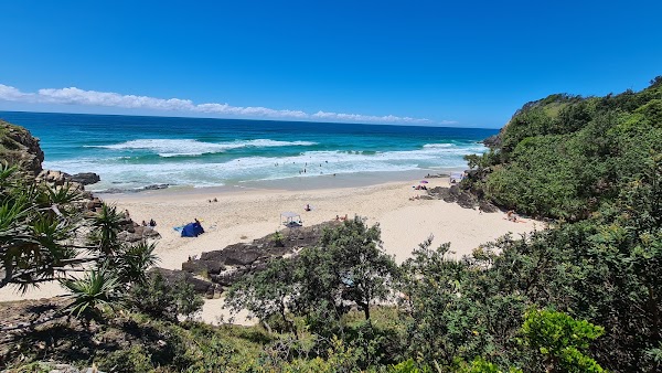 Qld 21