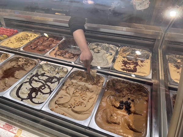 Amorino 4