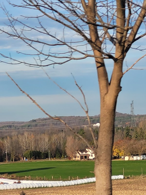 Hanover 2
