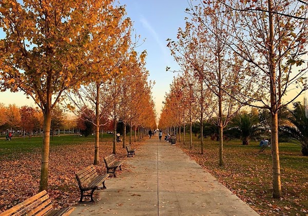 Maltepe Orhangazi City Park 4
