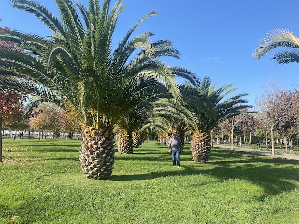 Maltepe Orhangazi City Park 2