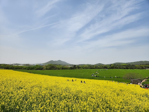 Hakwon Farm 1