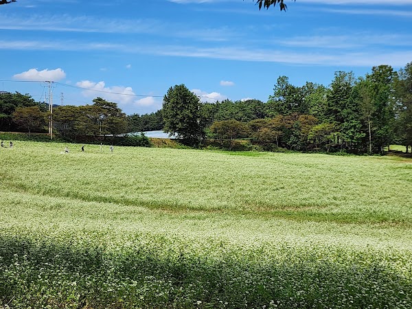 Hakwon Farm 4