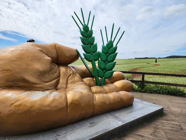 Hakwon Farm 2