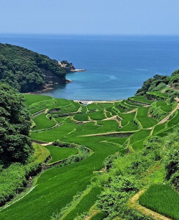 Terraced Rice Fields of Hamanoura