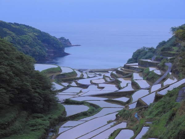 Terraced Rice Fields of Hamanoura 5
