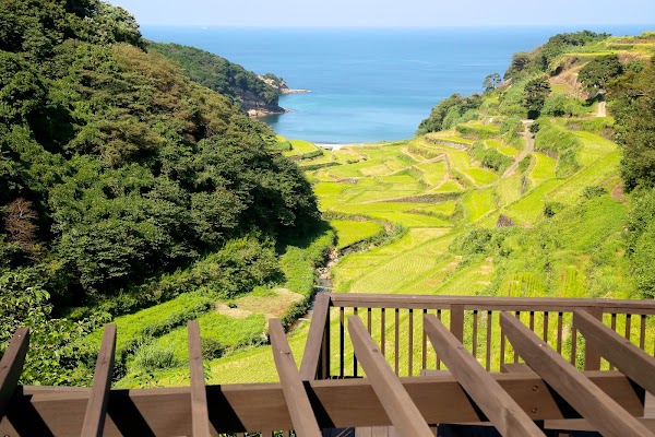 Terraced Rice Fields of Hamanoura 4