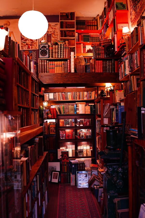 The Gently Mad Book Shop & Bookbinder 5