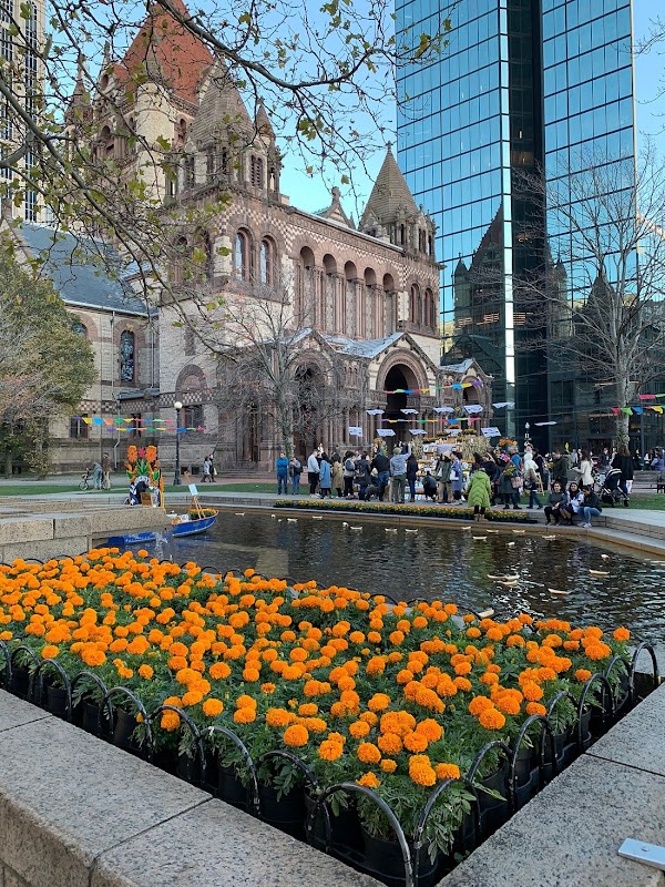 Boston 5