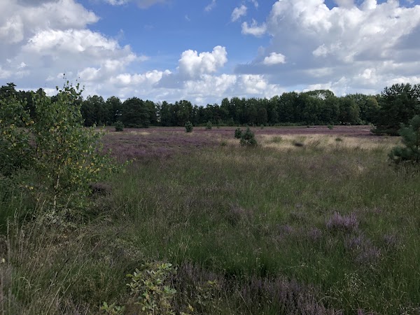 Start Etappe 3 Heidschnuckenweg 1