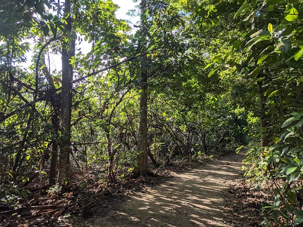 Chestnut Nature Park