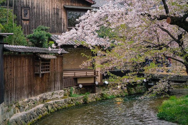 Tatsumi-jinja Shrine (Tatsumi Dai-myojin) 2