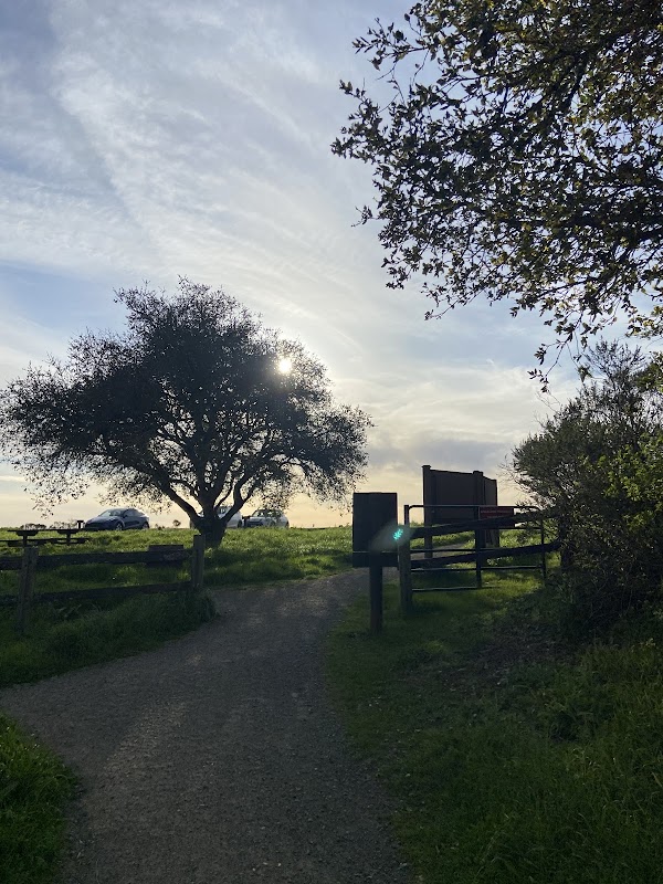 Anniversary Trail 5
