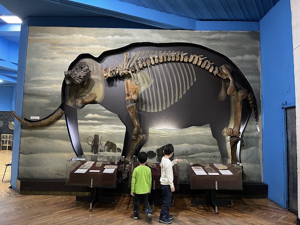 Central State Museum of the Republic of Kazakhstan 3
