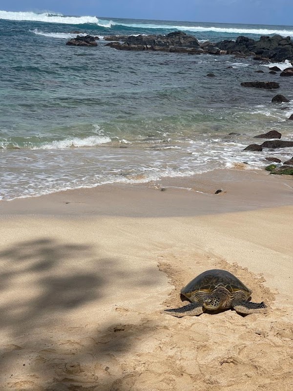 Hawaii 56